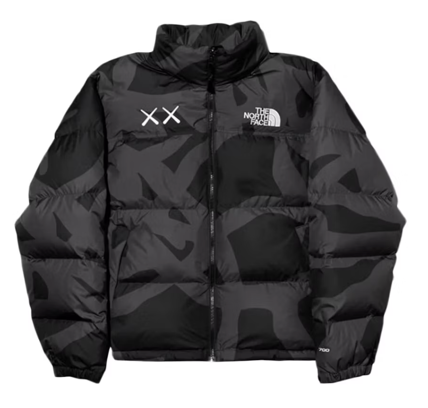 KAWS x The North Face Retro 1996 Nuptse Jacket